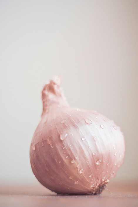 pink-onion_0